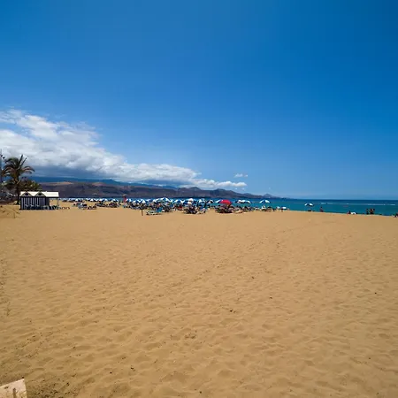 In Palmas By Canteras